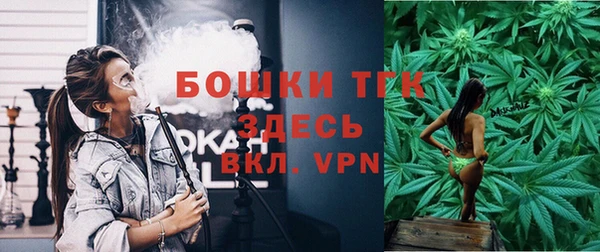 стаф Баксан