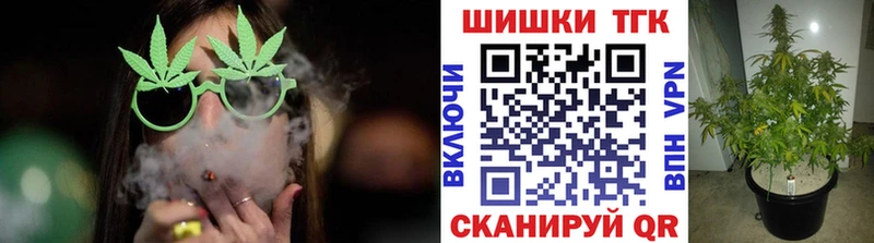 Купить закладки  Волхов  Каннабис ГИДРОПОН 